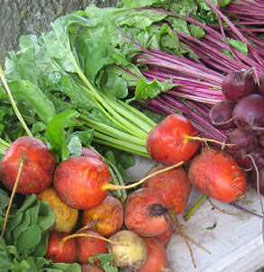 Recipe for fresh beets, crock pot. Healthy recipes for weight loss.