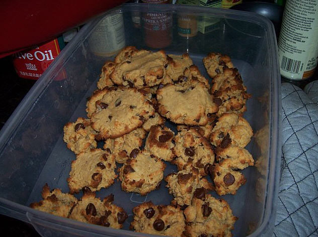 Coconut Chocolate Chip Cookies