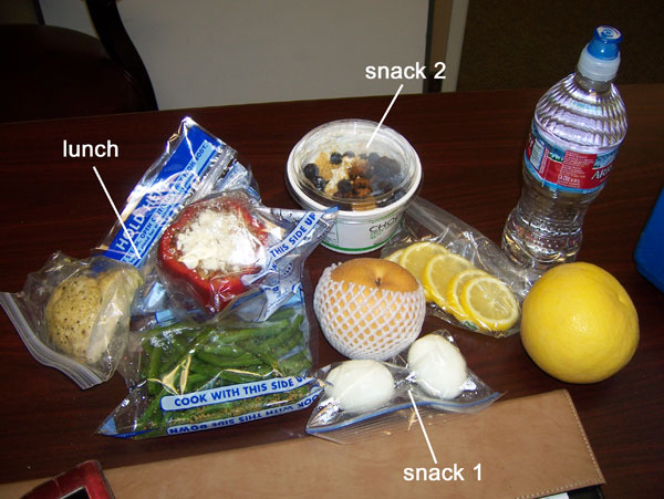 Chelle's clean eating cooler for Feb 1, 2011