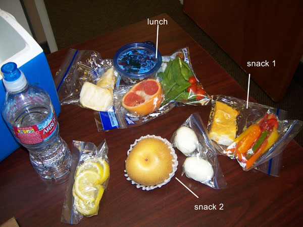 Chelle's clean eating cooler for Monday, Feb 28, 2011 - 1400 calories