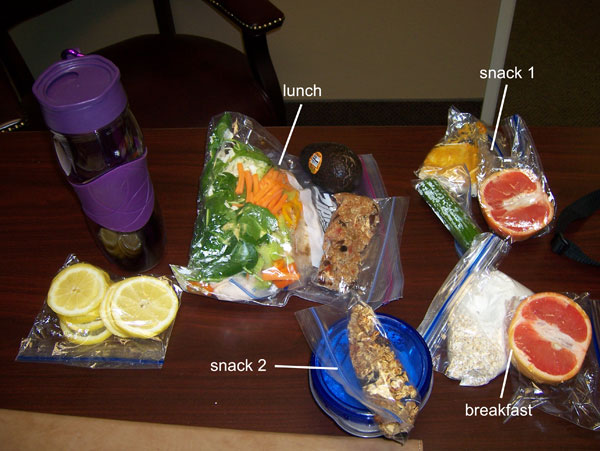 Chelle's clean eating cooler - 1600 calories. Monday March 14, 2011