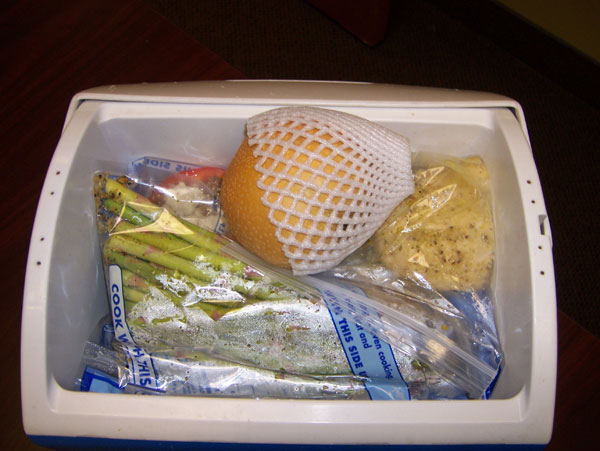 Chelle's clean eating cooler Jan 31, 2011