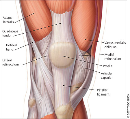 diagram of knee - lateral retinaculum, iliotibial band, quad, patella