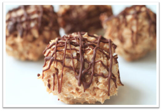 Recipe: Chocolate Coconut protein bites